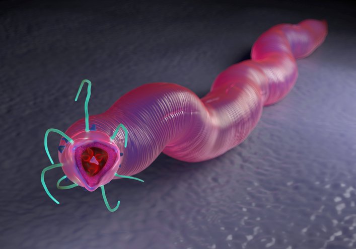 在 Twitter 上觀看圖片