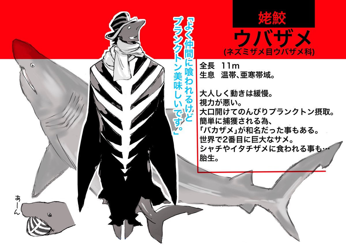 サメ軍擬人化⑨
ウバザメは口開けて泳いでる動画めさ笑ったw
バカザメと言われても仕方ない〜
#稲羽事変
#サメ 