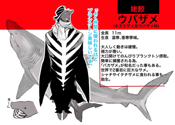 サメ軍擬人化⑨
ウバザメは口開けて泳いでる動画めさ笑ったw
バカザメと言われても仕方ない〜
#稲羽事変
#サメ 