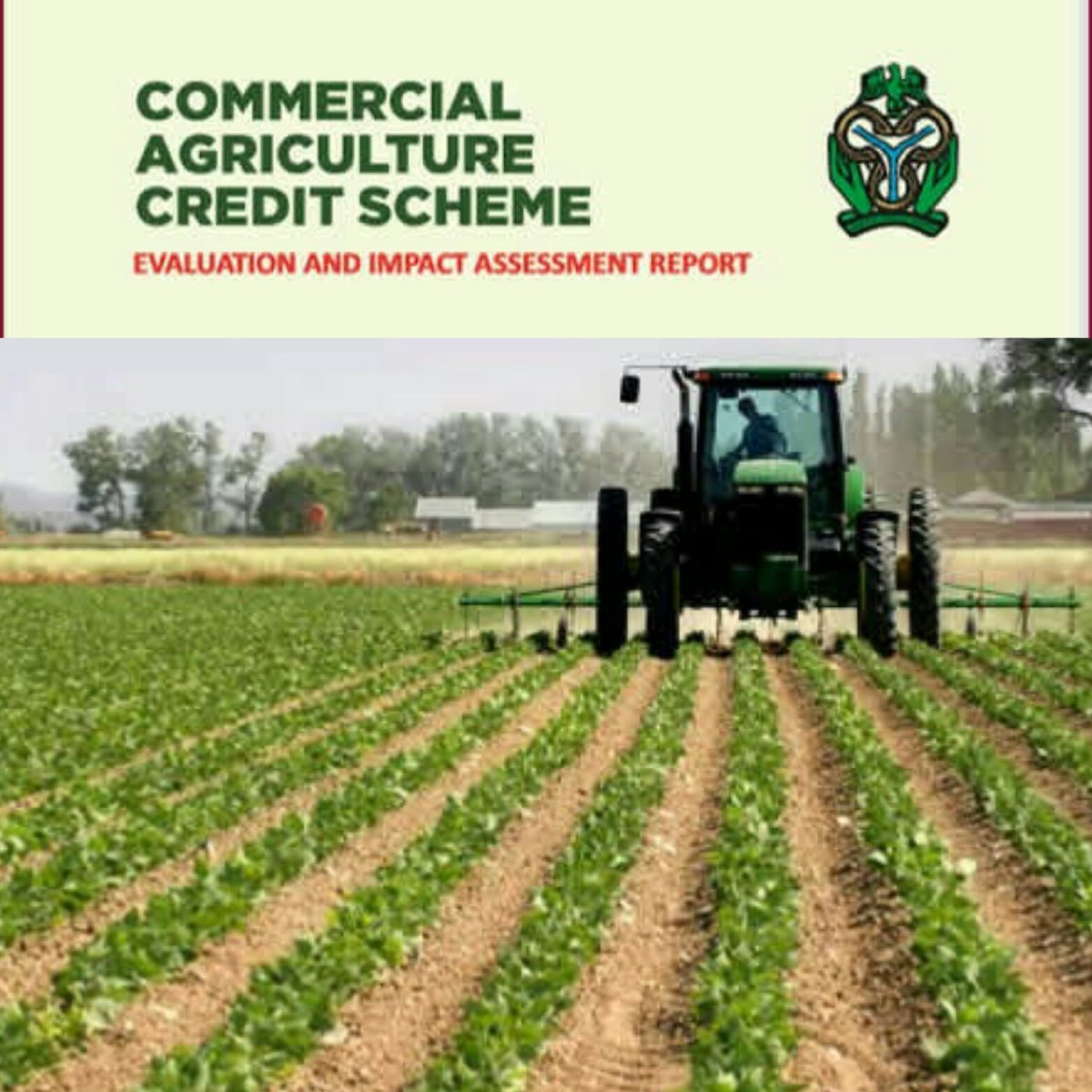 agroyields's tweet photo. The Central Bank of Nigeria (CBN) says it has released N35.9 billion to 166 projects under its Commercial Agriculture Credit Scheme.
For full Story Visit: https://t.co/N1UPVwDS1k
@agroyields #agroyields #naijainvestment #agroinvest #naijafarmers #techfarmers #agromachines https://t.co/ATaMTL2uTW