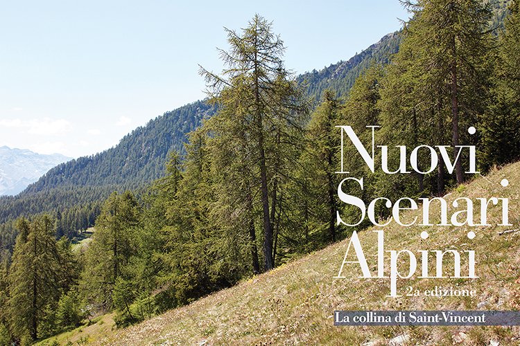 urban_reports's tweet photo. 22.08 - 24.08 @urban_reports PHOTOGRAPHY WORKSHOP IN THE ALPINE REGIONS to build together a #landscape #photography #project: an experience to reflect on the present of the places and use photography as a tool to build new territorial narratives. INFO https://t.co/3dCdxIEFq1 https://t.co/wZxjeItJfq