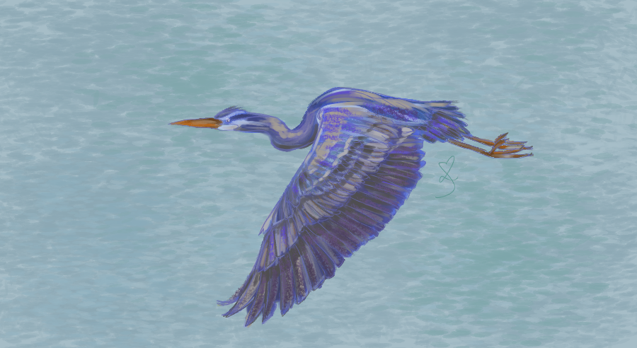 miss_quinn_s's tweet photo. My mom always told me that seeing a blue heron flying overhead is lucky. I tried to capture that luck in this painting, so my mom would be able to take it with her wherever she went. 😊⁠
.⁠
.⁠
.#missquinnsart #art #digitalart #digitalpainting #artist https://t.co/Ex8MfKjJ8h