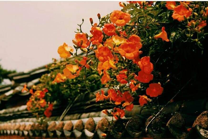 갑자기 비가 쏟아진다고 해도
걱정할 필요 없습니다.

조금 젖으면 어떼요?

꽃밭의 꽃잎도 빗방울 속에서 피어나듯
인생은 젖으면서 피어나는 거잖아요

-베스트셀러「이 낯선 마음이 사랑일까」중, 이근대

♥신간<가제 ; 나를 사랑한 여기>9/1발간예정♥