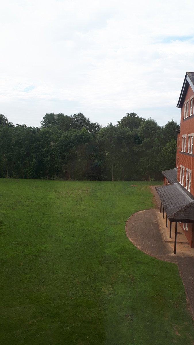 JillMilner's tweet photo. Team Ongo at Tpas. View from my room. Wonder if anyone is ready for breakfast https://t.co/qshcQJ5DuT