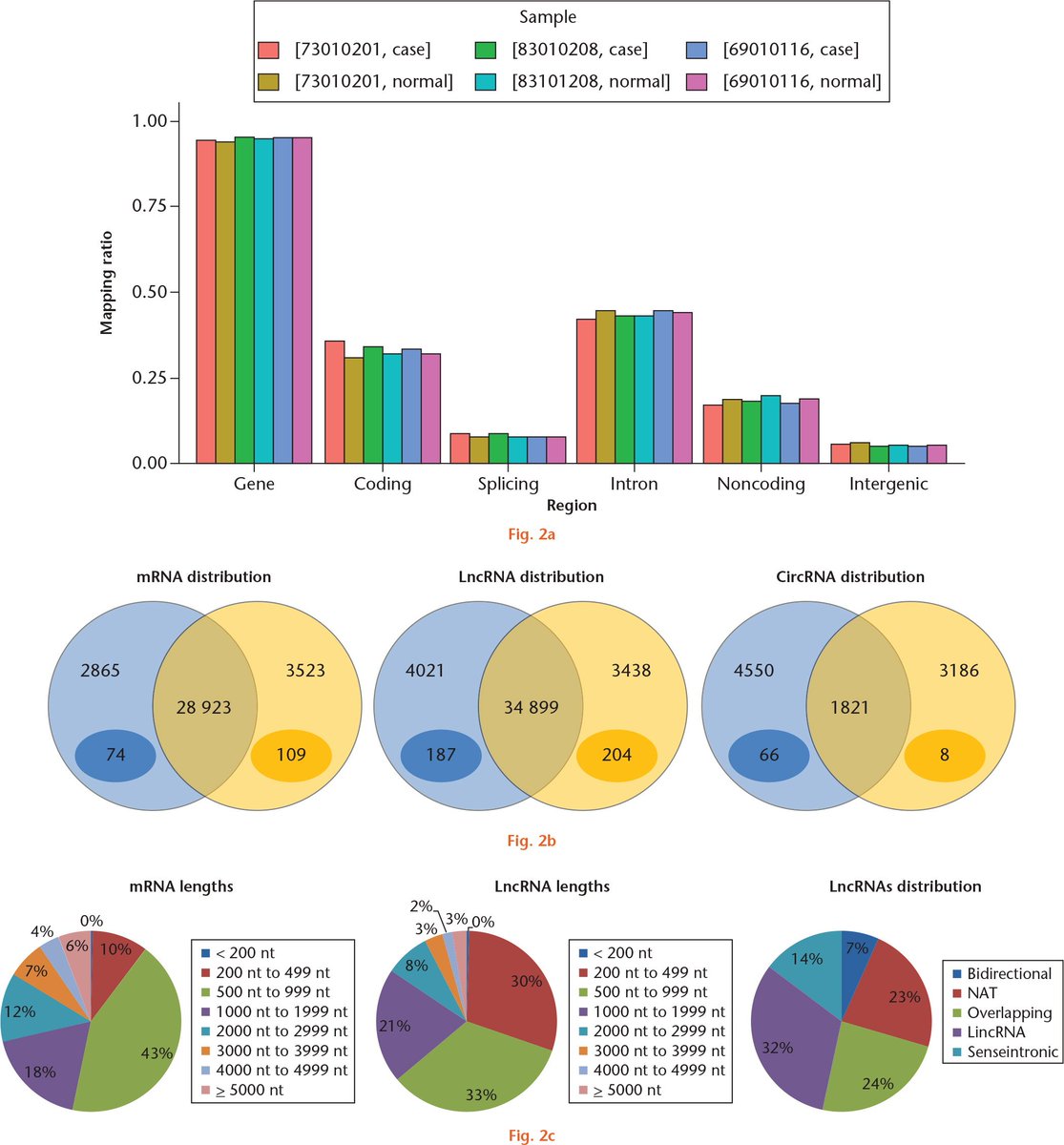 BoneJointRes's tweet image. JUST PUBLISHED!: Whole-transcriptome sequencing of knee joint cartilage from osteoarthritis patients online.boneandjoint.org.uk/doi/full/10.13… #kneejointcartilage #osteoarthritis #transcriptomesequencing #WednesdayWisdom