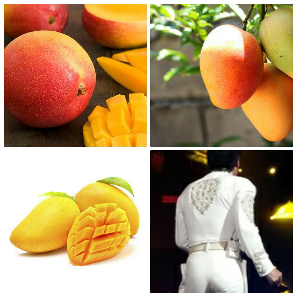 LeonorDMazatlan's tweet photo. El mango sigue siendo mi fruta favorita😇 @pedro_fer https://t.co/wFKPZ39dzv