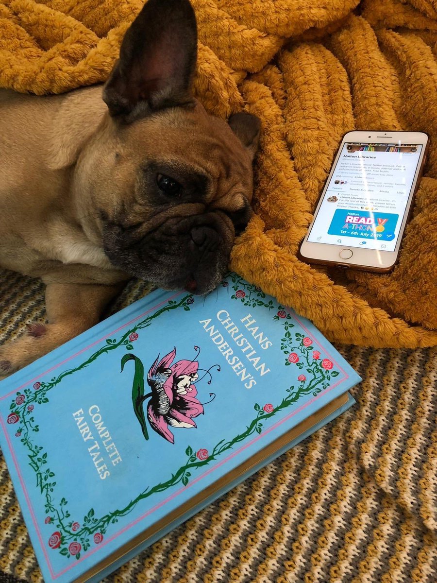 HaltonBC's tweet photo. We did it! Well done Halton readers. You more than trebled your target. I'm not sure how much Flo The Frenchie added to the total. But she loves a good 'furry' tale! #Haltonreadathon @HaltonLibraries https://t.co/hnAtuVMfQz https://t.co/3G5ew3v93r