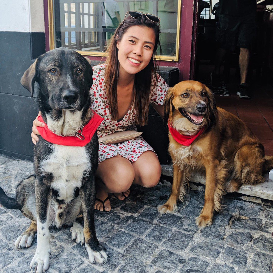goapppet's tweet photo. For our #WalkerWednesday we present you Le Mai (@lmn288), who is crazy about dogs and came all the way from Australia 😍 Want to book a walk with Le Mai? Download now https://t.co/Gm30GZUN4S at App Store and Google Play 🐶 #GoApp #DogWalkingLife https://t.co/D3HE5WHtJt