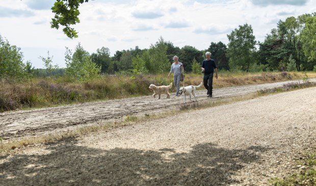 Udens Weekblad tweet media