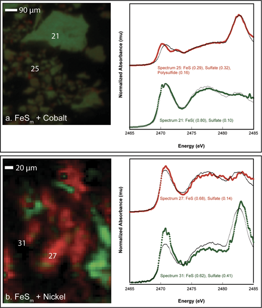 LianeGBenning's tweet photo. nice early mormning read in #AmMIn  by @betsyswanner Sam Webb and @GeomicroTueb  Fate of cobalt and nickel in mackinawite during diagenetic pyrite formation   https://t.co/Xn6GoTjApj … https://t.co/2zKB6OPgb7