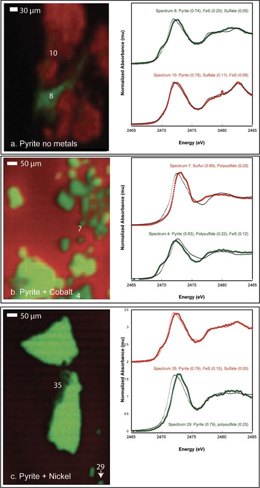 LianeGBenning's tweet photo. nice early mormning read in #AmMIn  by @betsyswanner Sam Webb and @GeomicroTueb  Fate of cobalt and nickel in mackinawite during diagenetic pyrite formation   https://t.co/Xn6GoTjApj … https://t.co/2zKB6OPgb7