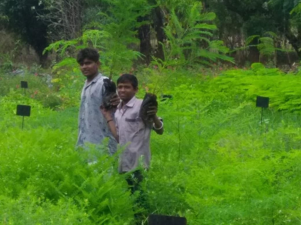 vijayrupanibjp's tweet photo. Wonderful initiative of tree plantation by the people of Nandod in Narmada district. They have planted more than 11000 saplings. My heartfelt congratulations...!!! Request others to follow it. https://t.co/uL6zKu2zvT