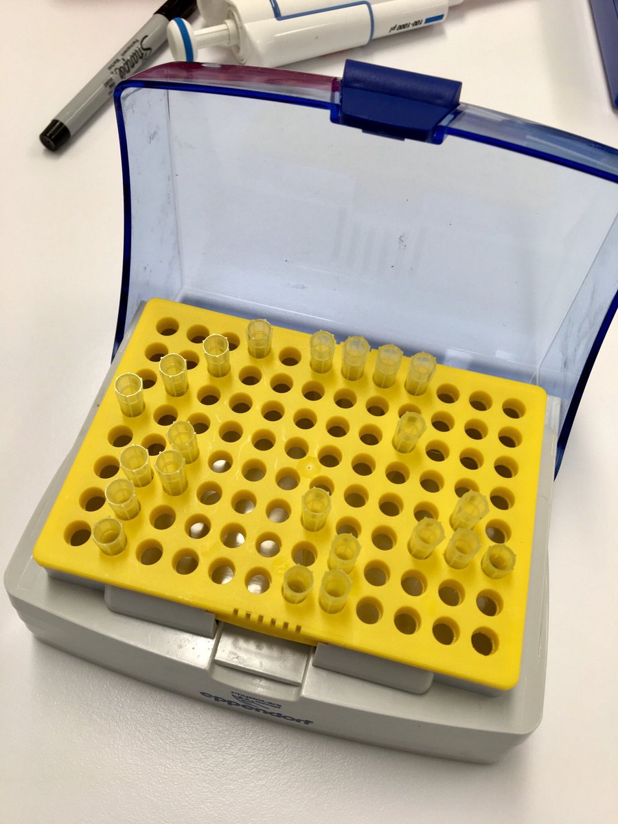BobbyShamim's tweet photo. Signs that you may be working alongside a sociopath in the lab. This is not normal, @jwhitfie... I think I’m going to have an aneurysm.🥴🆘  #phdlife #phdchat #science #doyouevenscience https://t.co/7UNAFSFiOD