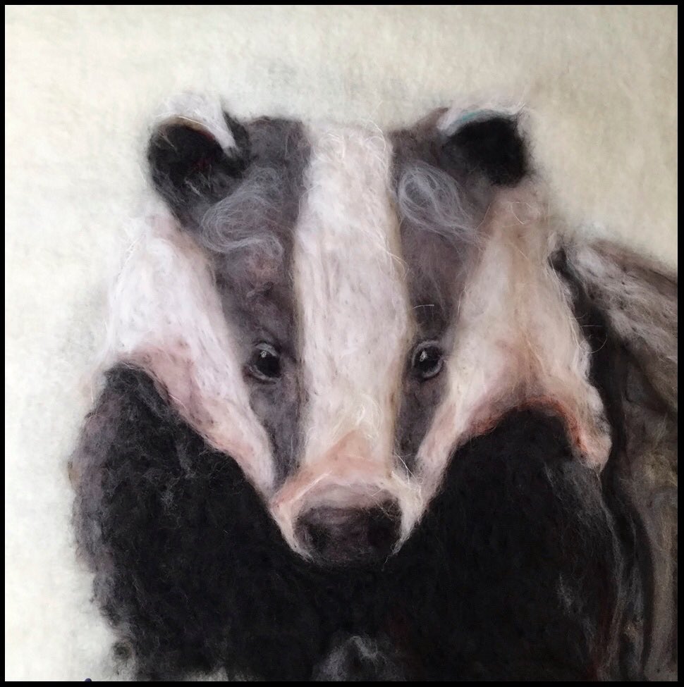 wirewonder's tweet photo. @badgersni celebrating all things Badger at @A2Gallery in Wells Somerset #melesmeles2019 https://t.co/k53xfi8HH7