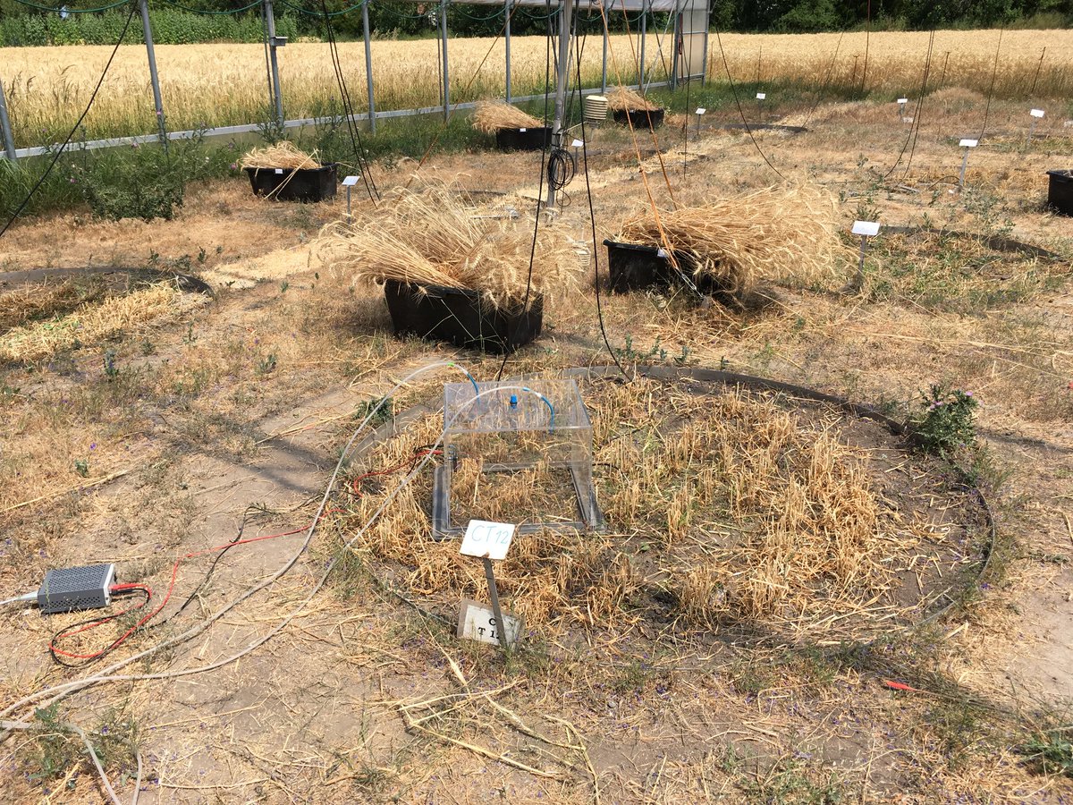 agesnews's tweet photo. #Klima-Forschungsprojekt "Climagrocycle": Zukünftig werden im pannonischen Raum die Trockenperioden länger &amp; häufiger &amp; auch die Starkregenereignisse zunehmen. Das #AGES-Projekt will ermitteln, wie dies die Funktionen des Agroökosystems beeinflussen wird. https://t.co/vfQWZzXLF2 https://t.co/MsanqkvmkO