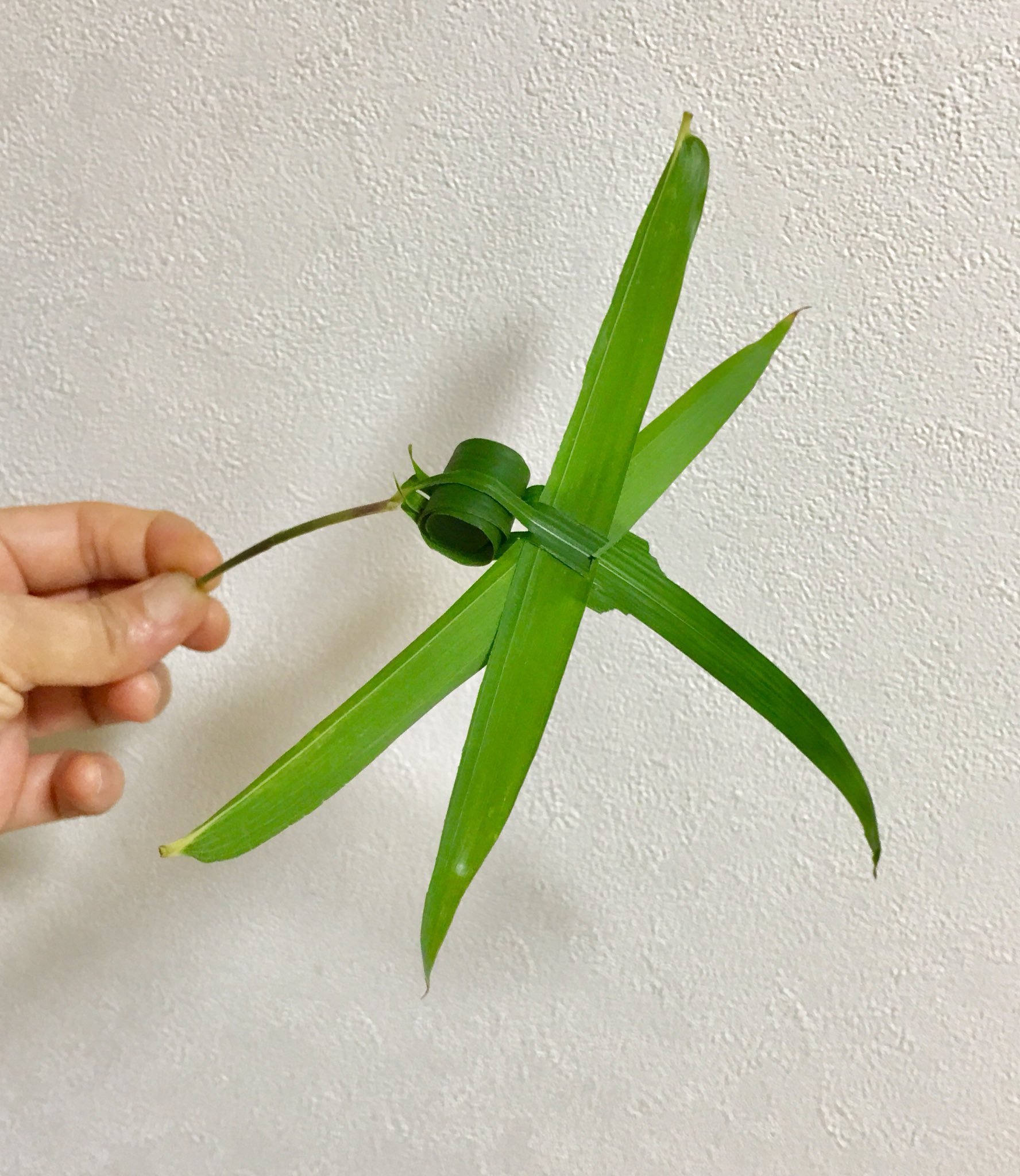 Inori 在 Twitter 上 笹の葉のトンボです 竹の葉でもできます 葉っぱ三枚で作ります 一枚の葉っぱをクルクル丸めて作った眼を 胴体の 葉に差し込む 切れ目 と翅を差し込む 切れ目 をずらして入れるところがポイントです シンプルでけっこう気に入ってい