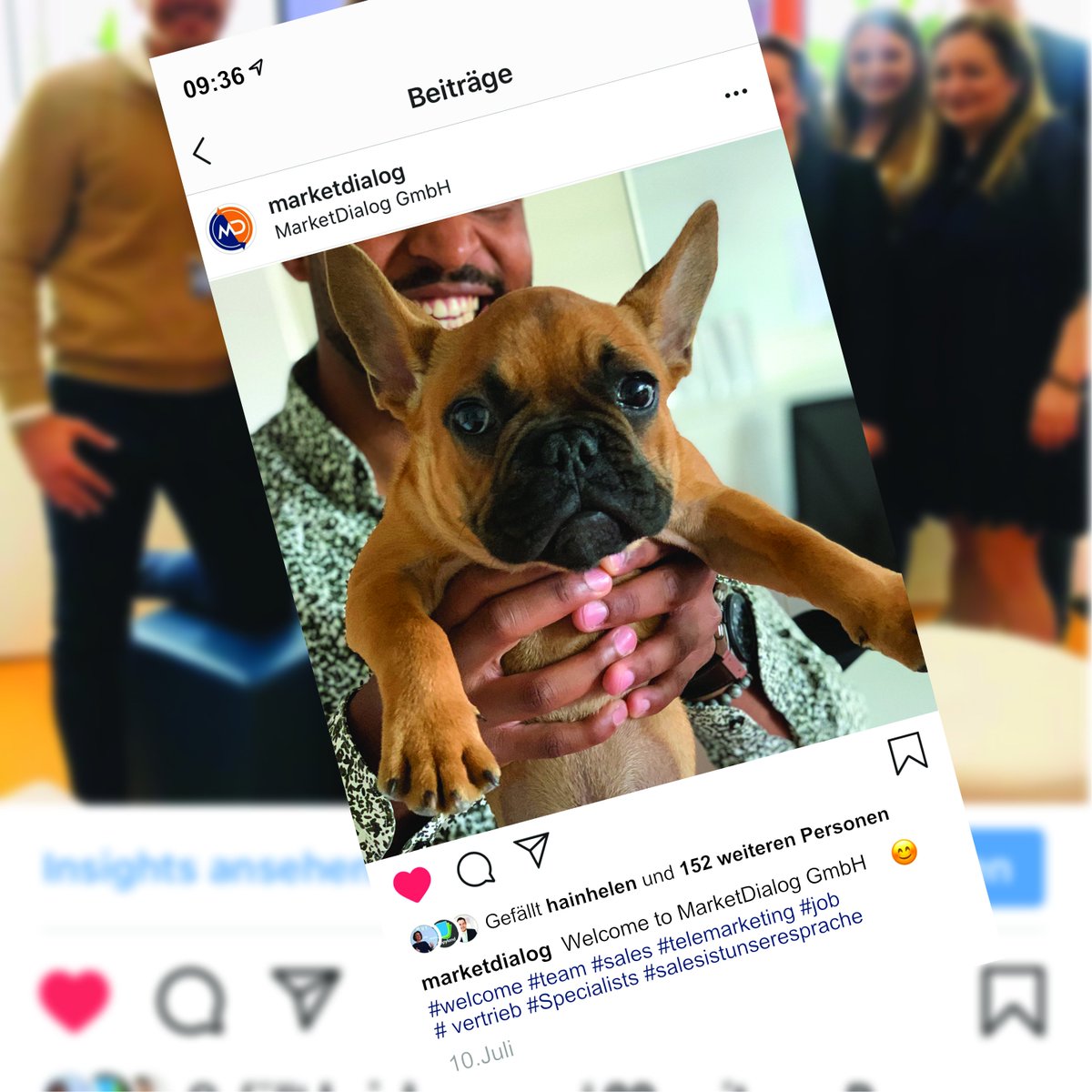 MarketDialog's tweet photo. Welcome To MarketDialog - Brownie🐶💯 #neuemitarbeiter #team #sales #hr #salesistunseresprache #dog https://t.co/c6PmhUithe