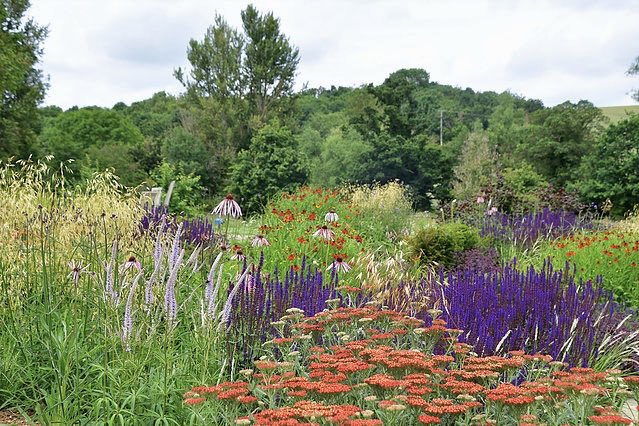 Our site visit to inspect the progress of our planting design scheme in Oxfordshire. .
.
#englishgardens #designergardening #plantstyling #home #nature #instagardening #outdoors #plantphotography #plantingdesign