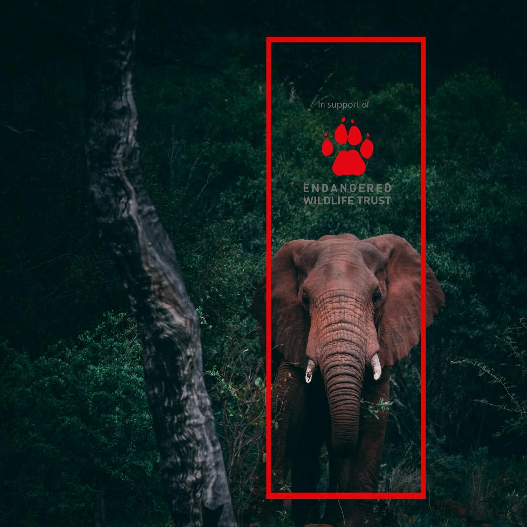 We believe in working together to see real change in wildlife conservation. One of the reasons we support <a href="/TheEWT/">Endangered Wildlife Trust</a> is for the amazing work they do empowering communities to live and work in harmony with nature. R5  will be donated with every room booked #wildlifewednesdays