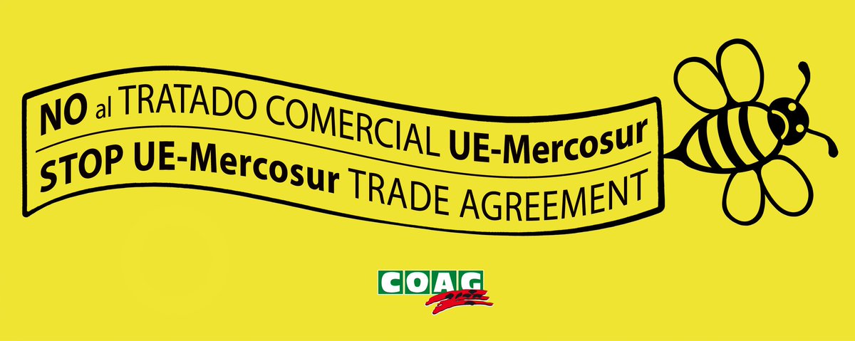 🔪Acuerdo #MERCOSUR supone la puntilla para nuestros apicultores en la peor campaña primavera de últimos 15 años. 

✅Argentina, Brasil y Uruguay, potencias apícolas mundiales, podrán inundar  mercado #UE con 45.000 t de miel libre de arancel #apicultura

coag.coag.org/post/el-acuerd…