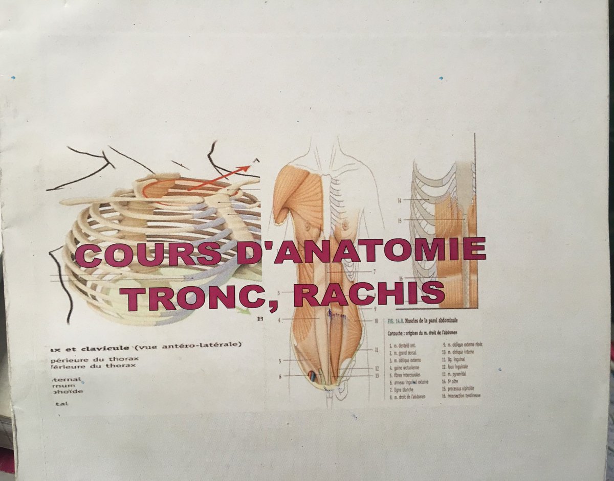 DrJKongodie's tweet image. Demain ça sera chaud à l’UPC (G2 Biomédical) ! Anatomie 🔥 
#SessionTime
#OuvertureDeLaSession