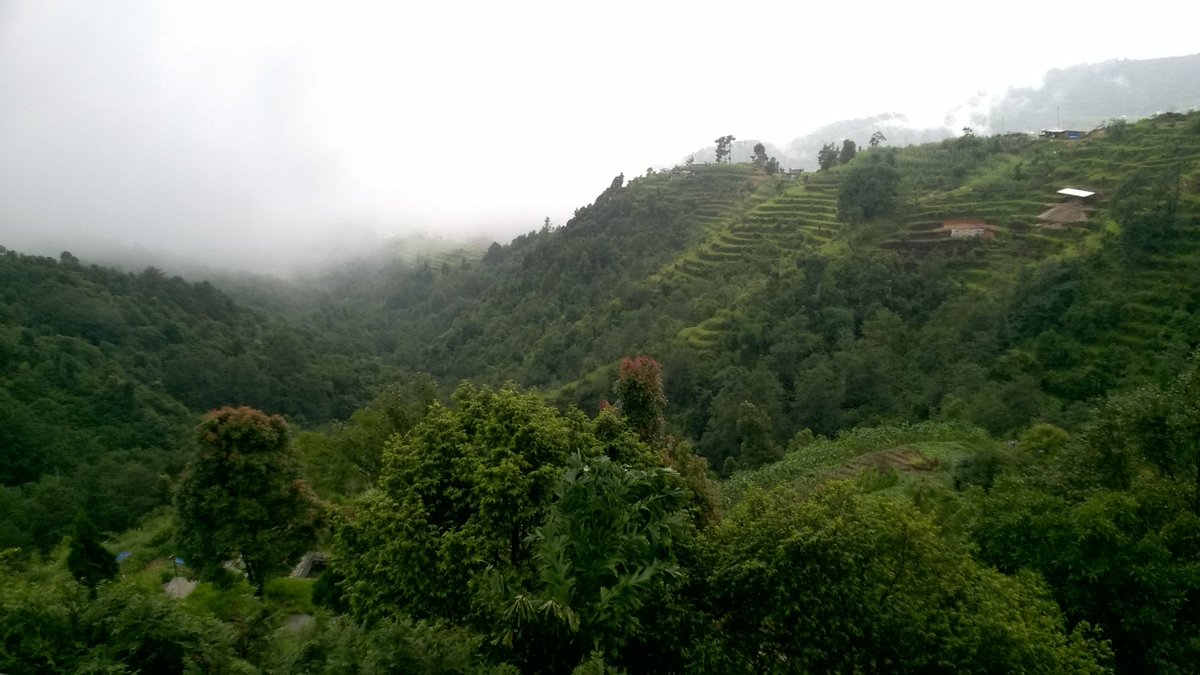 Alan Holmes tweet media