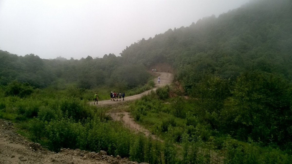 Alan Holmes tweet media