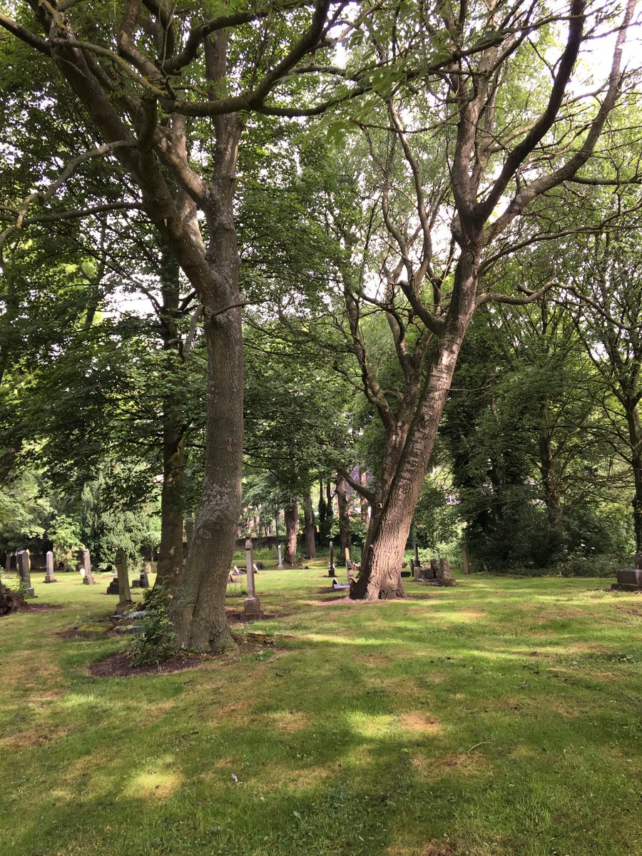 Tanfield In Bloom tweet media