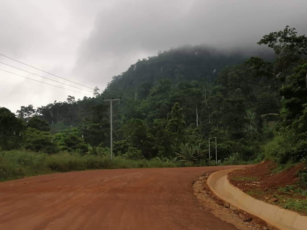 OliverMensahDev's tweet photo. Virgin Forest at Fanteakwa north
#Ghana
#GreenVegetation
#AgroInnova
#FBSInnova
#AppPiloting
#GIZ
#cocoboard @ Eastern Region https://t.co/GPL4sFbhPY