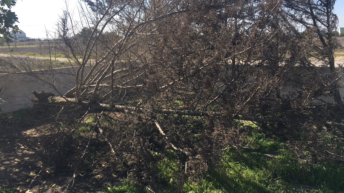 Justin Maltby (@the_strandloper) on Twitter photo 