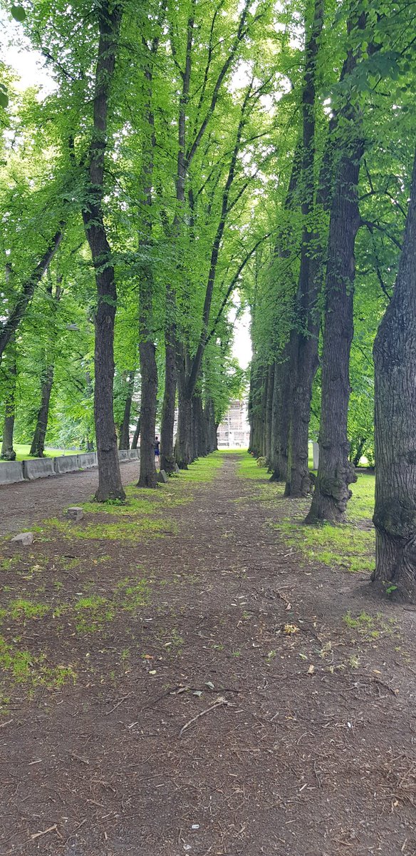 Dilyanka4's tweet photo. #fotography #foto #forrst #treeforest #landscape #landscapephotography #tree #trees #sky #landscapelovers #gteen #grass #nature #day #NaturePhotography #naturelovers https://t.co/LMHu8KoAiY