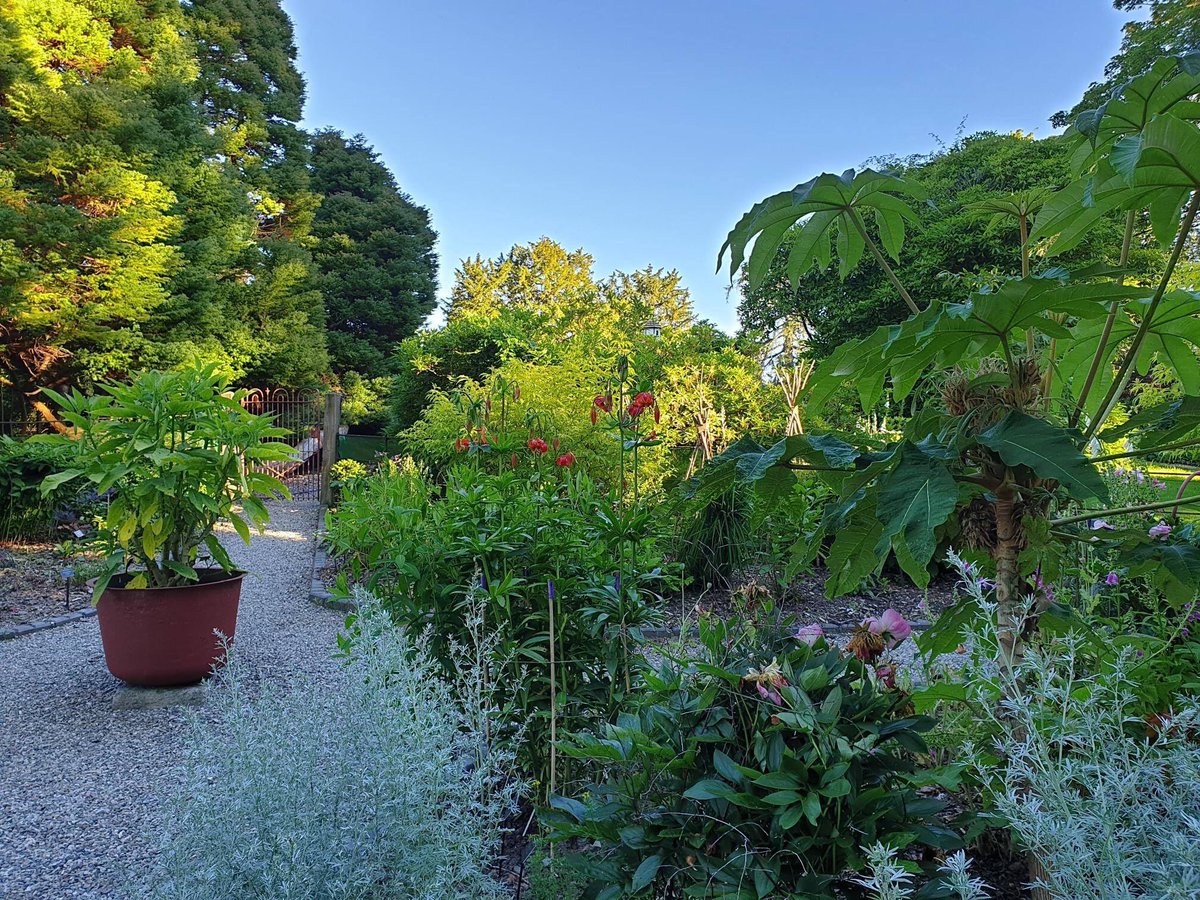 BryngwynHall's tweet photo. “IN A COUNTRY GARDEN”
With only 2 weeks to go till the Summer Fayre it’s getting very busy at Bryngwyn Hall’s Grade ll* Listed gardens. 
There will be 3 escorted garden tours with head gardener “Andrea Atherton” to include our unique Poison garden 11am/ 1pm &amp; 3pm. https://t.co/xwwiWzGXVB