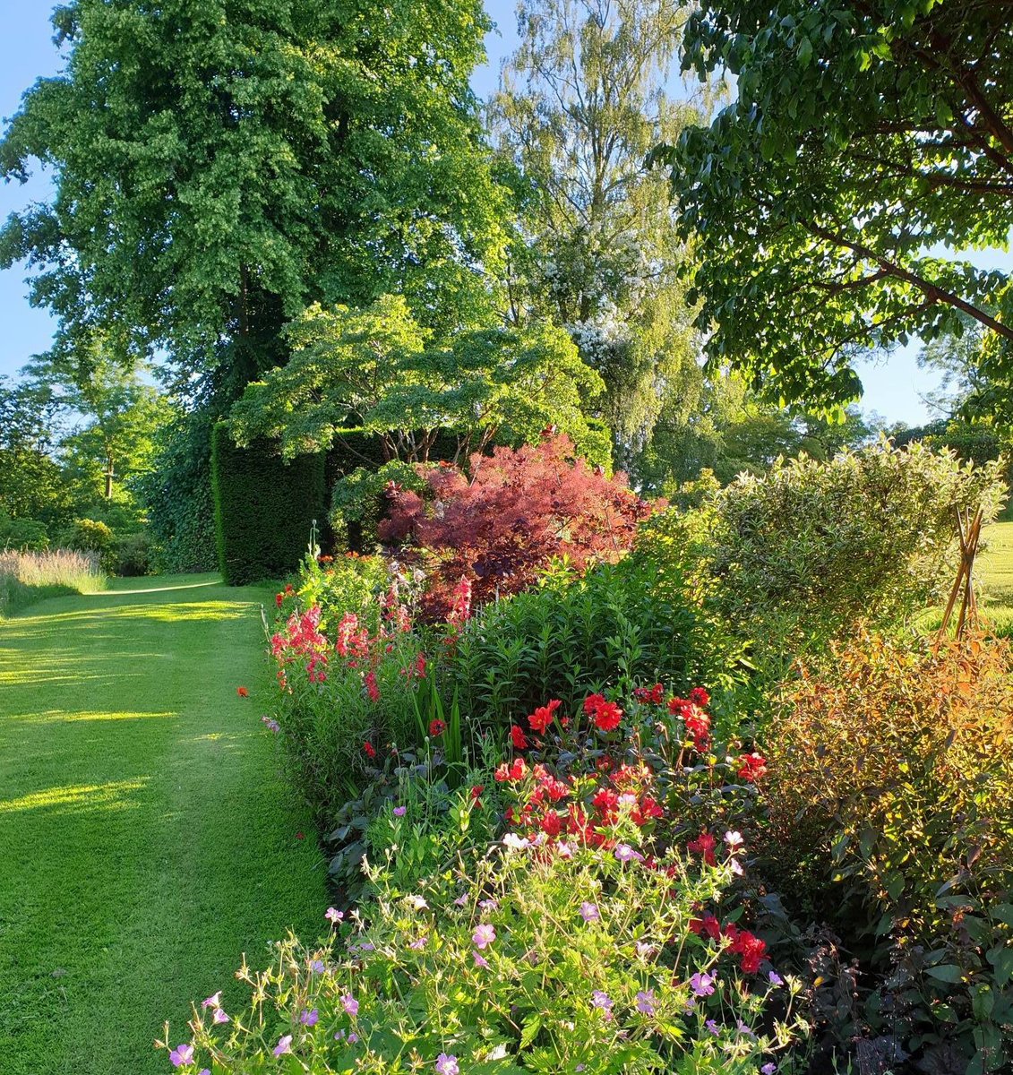 BryngwynHall's tweet photo. “IN A COUNTRY GARDEN”
With only 2 weeks to go till the Summer Fayre it’s getting very busy at Bryngwyn Hall’s Grade ll* Listed gardens. 
There will be 3 escorted garden tours with head gardener “Andrea Atherton” to include our unique Poison garden 11am/ 1pm &amp; 3pm. https://t.co/xwwiWzGXVB