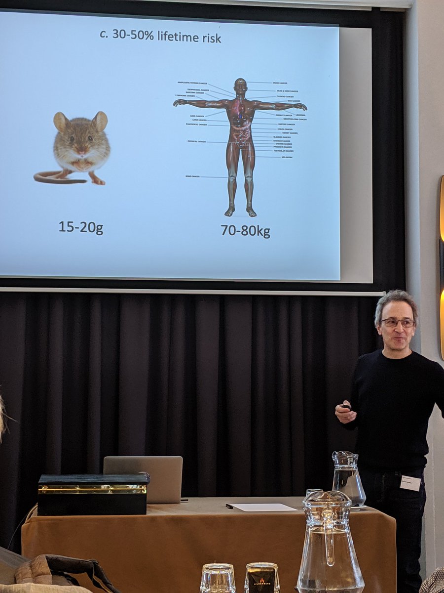 CunninghamJessJ's tweet photo. @HochTwit starting us off on day 3 of #4CModelling in beautiful Vaalsbroek. A bit of comparitive oncology and a little bit of Peto's Paradox. https://t.co/3g7Gszb7om