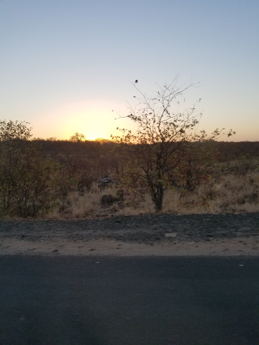 Since we have a gap in between the 8th and the 11th, we decided to go on some sightseeing. QuadX drove Dragons Back and arrived in Leboeng to trek Echo Caves. We then went to the state of Mpumalanga to see the Three Rondavels. Finally we started our 2 day safari at Kruger NP. #SA