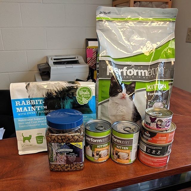 SAFEteamrescue's tweet photo. Thank you to SAFE Team Supporter, Terry, for this awesome donation - our adoptable kitties in care greatly appreciate their support! #donation #thankyou  #safeteamrescue #safeteamkitty #safeteam #adoptdontshop #adopt #adoptme #rescuecat #rescue #rescueca… https://t.co/4V7LvCGLmv https://t.co/zIcYokJlx6