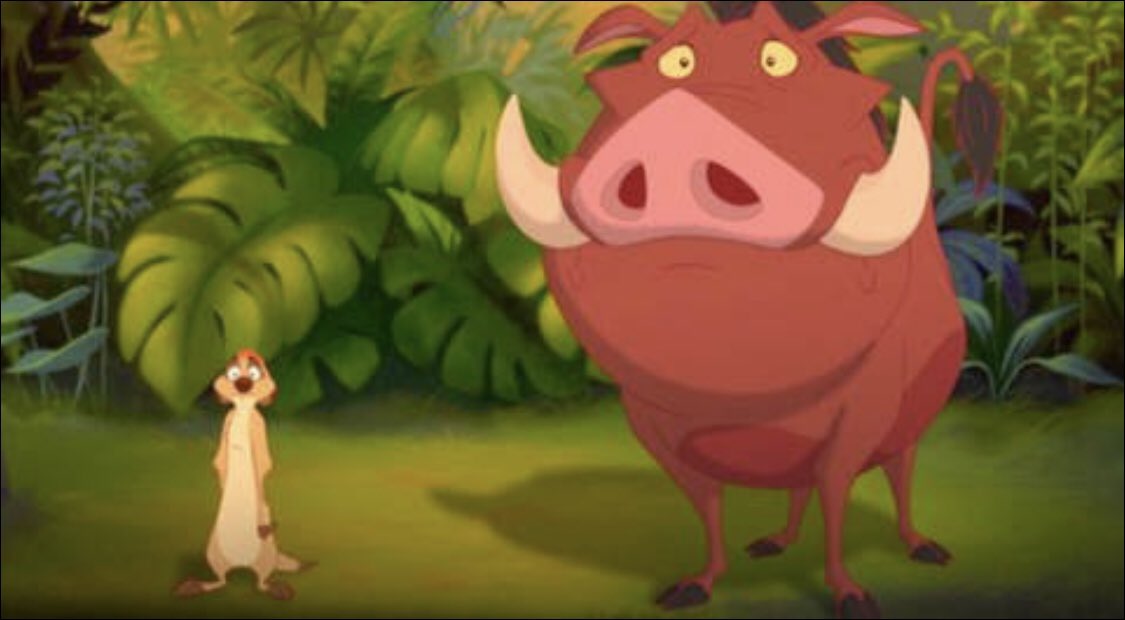 MsBgirl45's tweet image. C’est deux là sont comme Timon et Pumba, inséparable 🐕🐕🥰