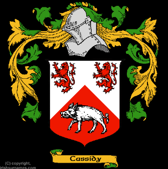 Cassidy from Irish for "clever/curly-haired"! 1st known as surname, associated with the O'Caiside family of Co Fermanagh, the hereditary physicians to the Maguire chieftains. In the US popular as a name for boys & girls. Popular after  @GratefulDead song? 