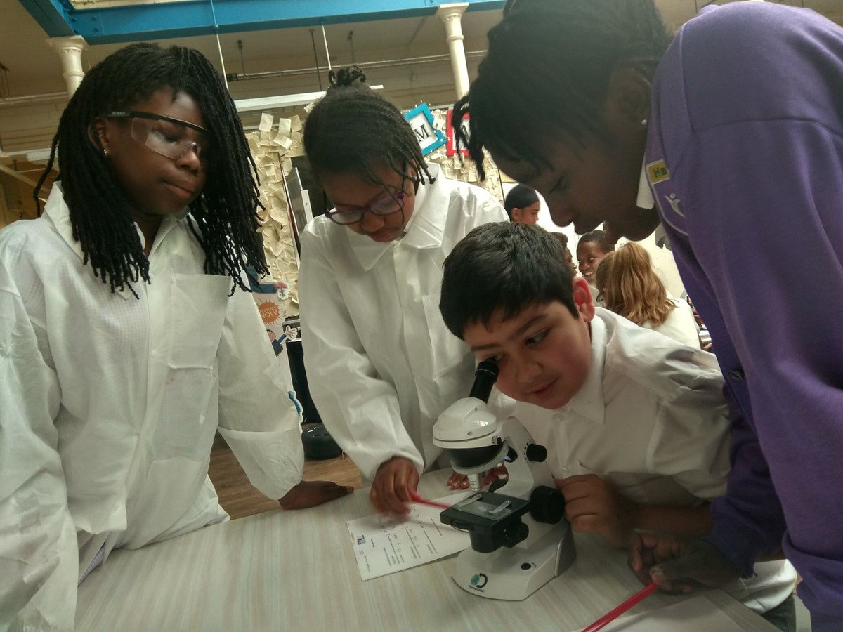 HPA_Philip_Lane's tweet image. Our &apos;All Is One&apos; workshop is going down a storm this morning. Our scientists have been brilliant and the children are enjoying their demonstrations!
#HPAPLScience