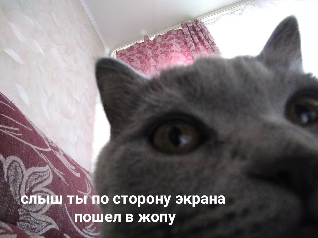хокаге, даттебайо tweet media