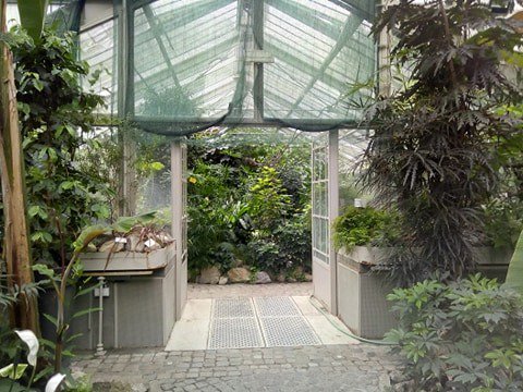 Beograd202's tweet photo. Posetili smo @bb_jevremovac!
🌳🌱🌿☘️🎋🍃🌺🌸
🔊 #LetnjaBašta od 10.00 🕙
▶️ https://t.co/fEL2J46agb https://t.co/g3ofCYpRs7