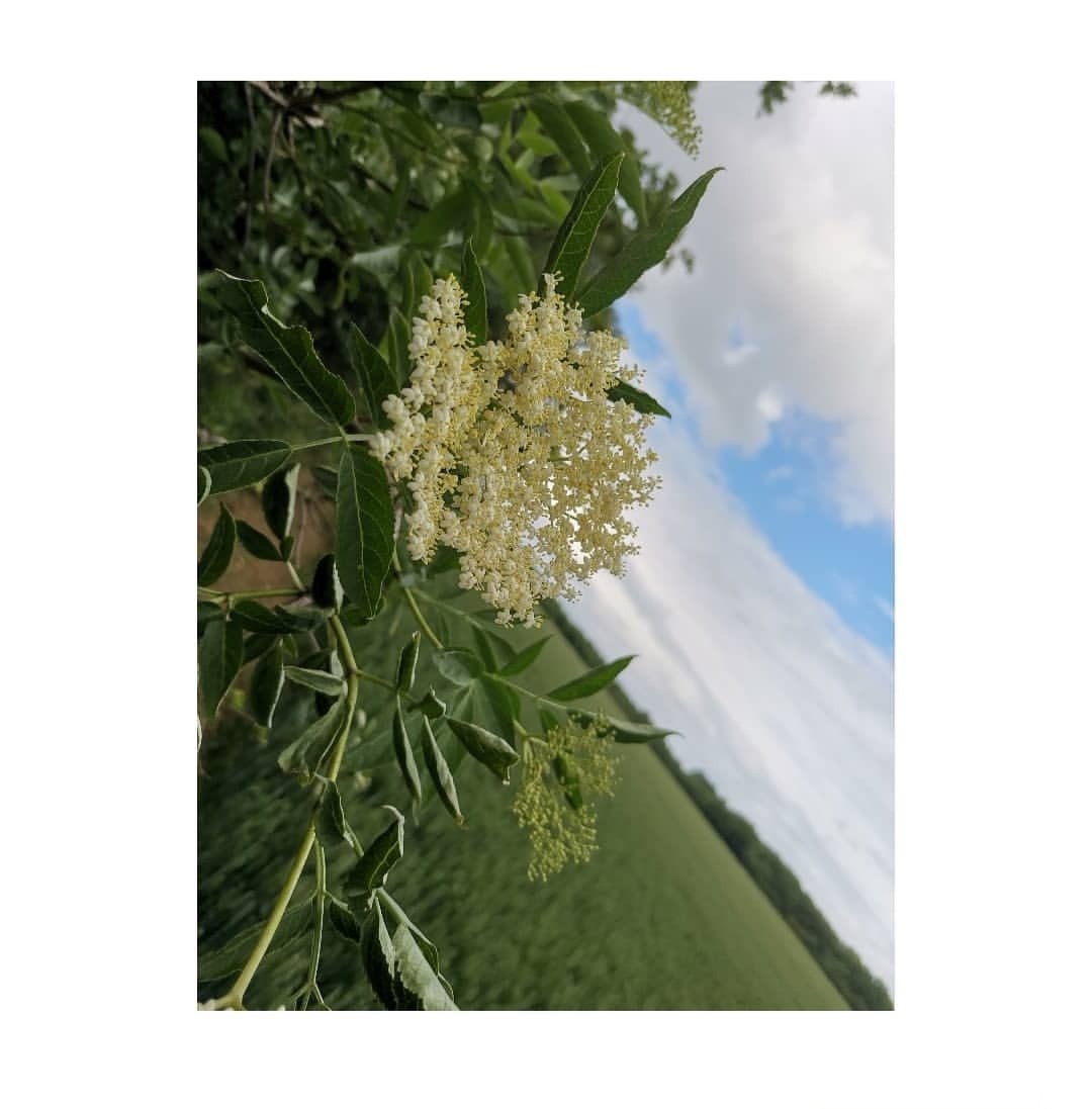 missdiond's tweet photo. We rise by lifting others
•
#walk #clouds #fields #explore #nature #naturelover #bluesky #sky #sun #sunset #free #openspace #building #photography #refreshed #happyplace #love #happy #BeKindToYoSelf #adventure #honor20 #nofilter https://t.co/9hMqlFzWub