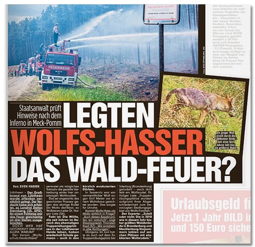 Ja, woher kommt nur dieser Hass auf Wölfe, <a href="/BILD/">BILD</a>? Wir hätten da eine Idee: bildblog.de/112605/wer-mac…