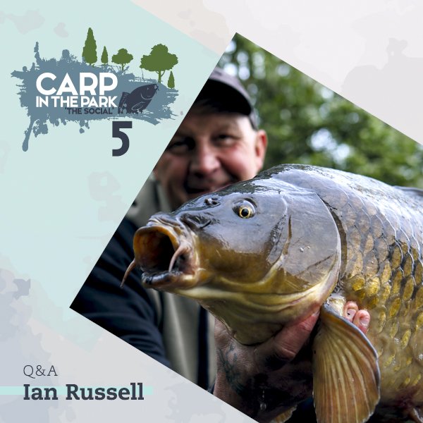 Carp In The Park tweet media