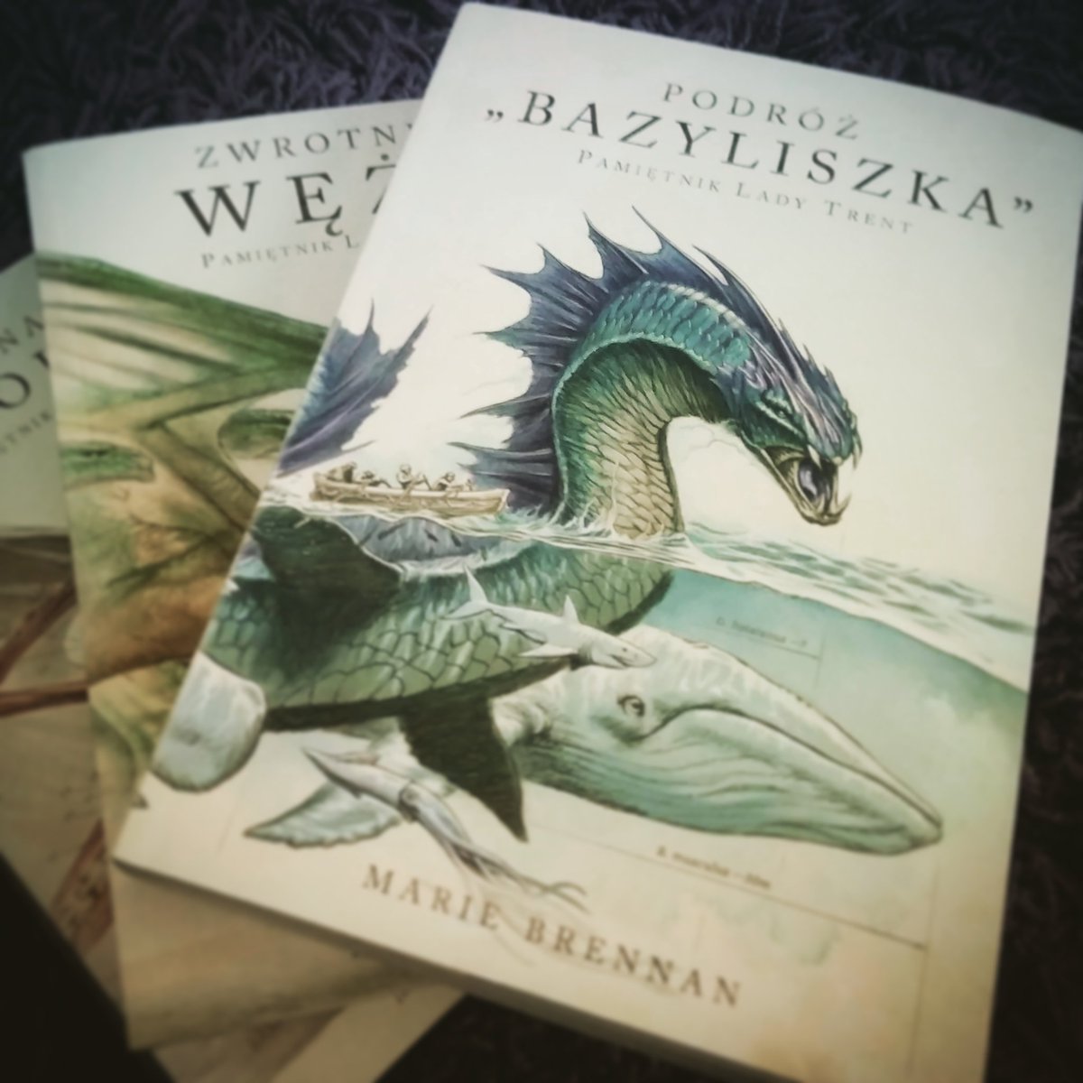nerdheimpl's tweet image. #PodróżBazyliszka #MarieBrennan już na stronie! Czytacie #PamiętnikLadyTrent?

nietylkogry.pl/post/recenzja-…

#ladytrent #fantasy #smok #smoki #dragons #hicsuntdracones #historianaturalnasmoków #czytanie #czytamy #terazczytam #nowreading #ksiazkowelove #ksiazkoholizm