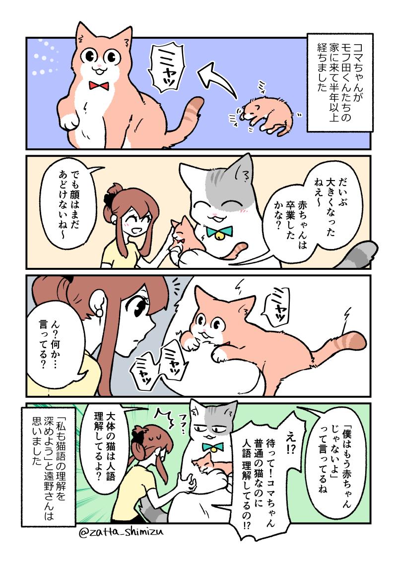 『ブラック企業の社員が猫になって人生が変わった話』新章の14

コマちゃん大きくなったねえ〜
子猫の時代はあっという間…☺️?

#猫になったモフ田シリーズ　#創作漫画 