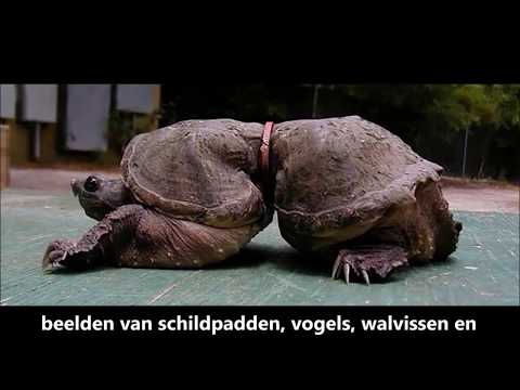 bfhsum's tweet image. #Hilversum heeft de primeur: eerste badkamer gemaakt van 3.403 #plastic flessen. Maar we eten, drinken en ademen nog steeds plastic! Laat je vanavond om 19:30-21:30 @Heelo_hilversum inspireren over bewuster omgaan met de Aarde. Je bent van harte welkom! 🌍 facebook.com/events/6886309…