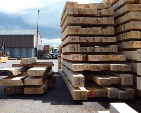 Websters Timber tweet media