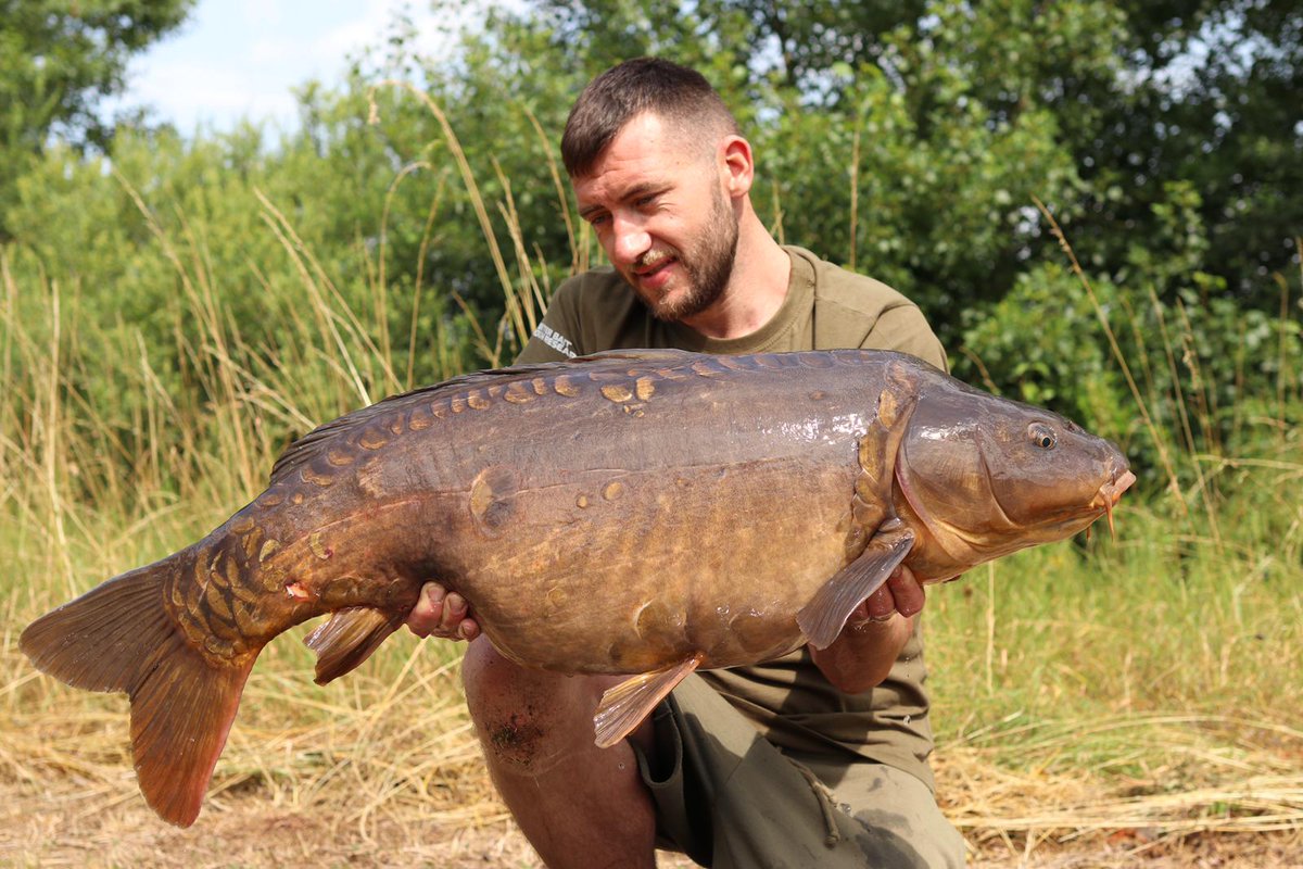 chillycheal's tweet photo. 'Partial eclipse' 37lbs+

#18ftzig
#jprecisionhooks 
#mainlinebaits
#ziggas
#6chod https://t.co/uW0e5Tuxhy