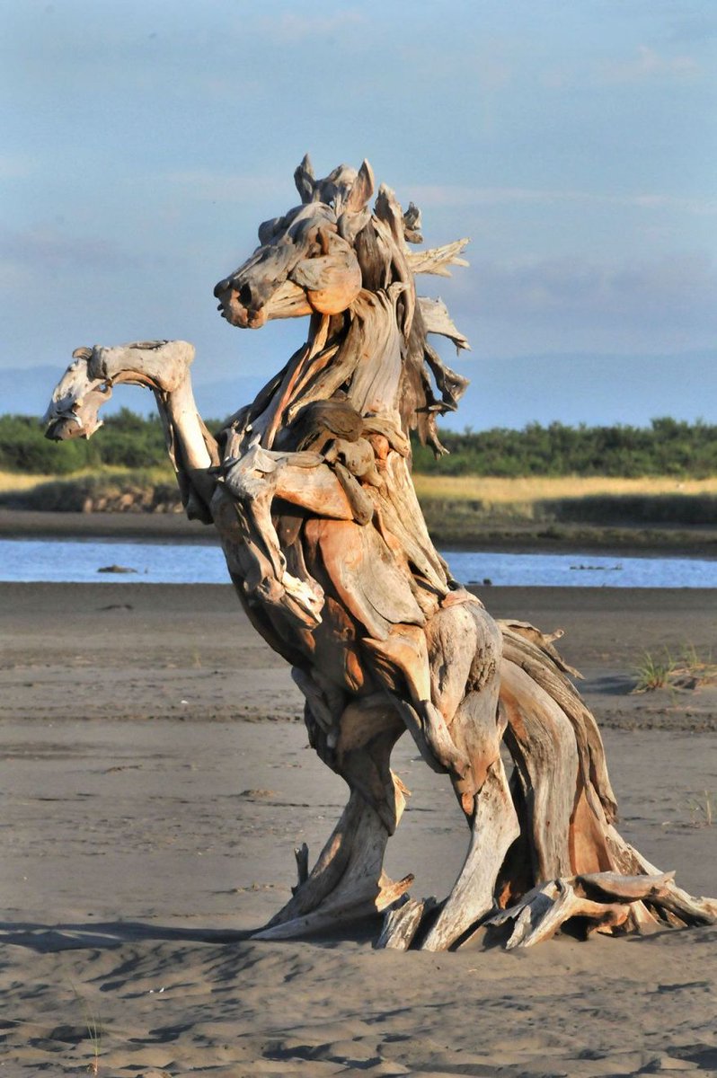 Jeffro Uitto, Using various pieces of wood, mostly found on the beaches in Washington State, USA, Jeffro creatively transforms them into sculptures that most often depict animals - horses, eagles, rhinos, lions/www.instagram.com/jeffro_art/